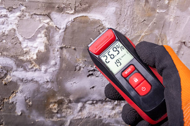 Best Best Mold Removal Companies  in Stanfield, OR