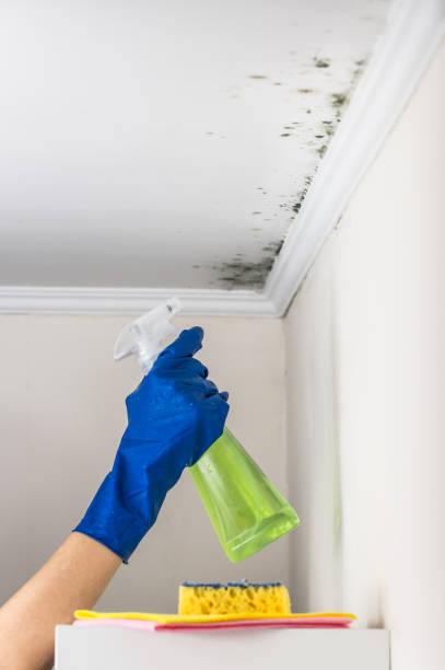 Crawl Space Mold Removal in Stanfield, OR
